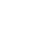 WT Logo