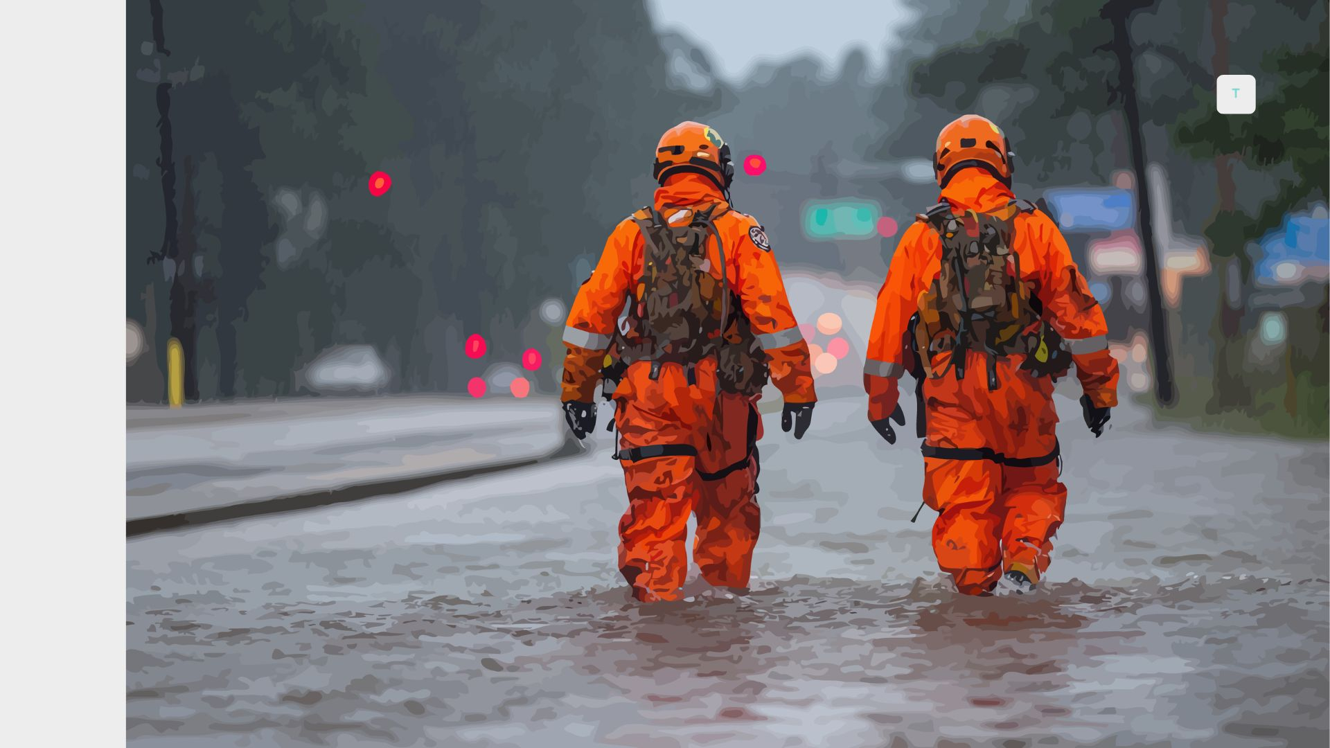Operational Visibility in Disaster Management: Preparedness and Response Strategies