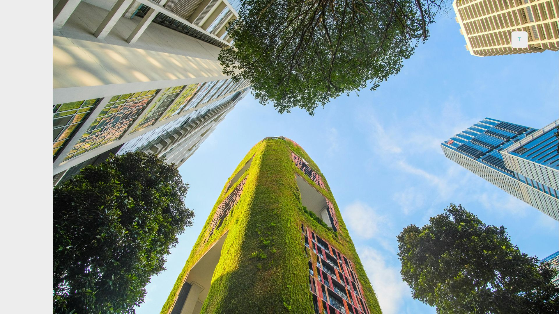 Understanding the EU Corporate Sustainability Reporting Directive (CSRD): A Simple Guide